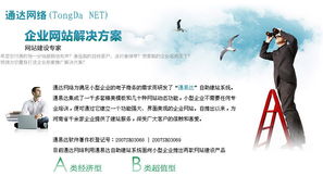 濮陽通達網絡 為小型企業量身打造專業網站解決方案與推廣服務
